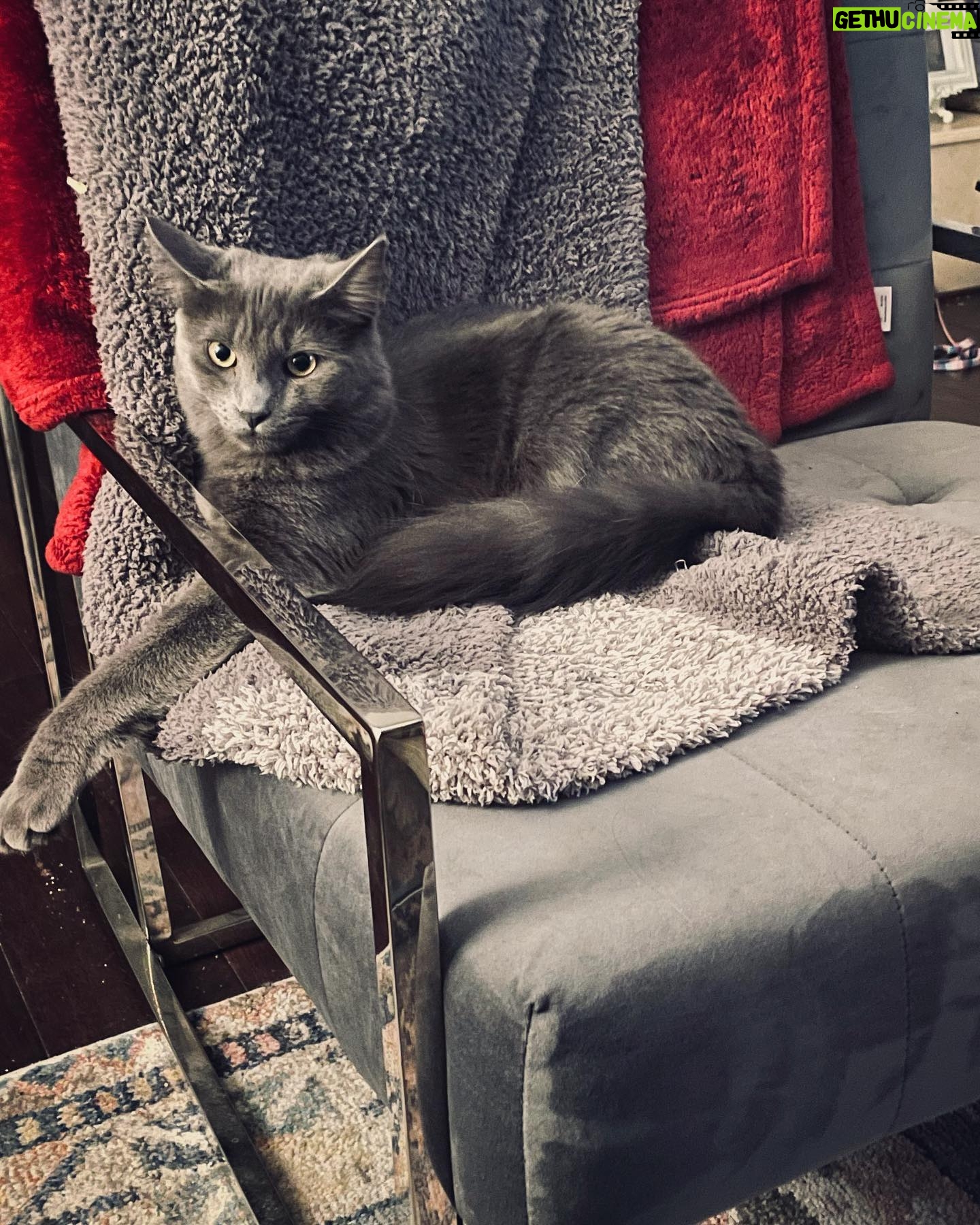 Michelle Trachtenberg Instagram - Mumzie. You know I have photo approval. 🐈⬛