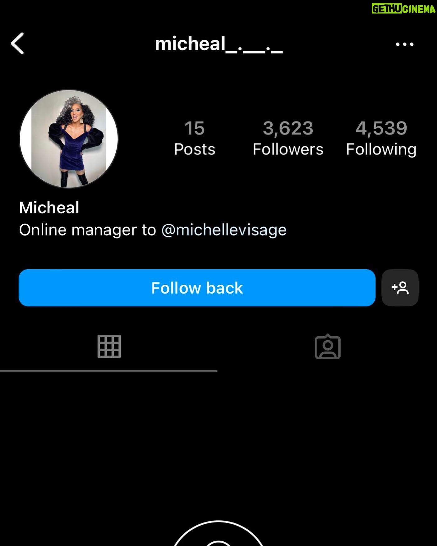 Michelle Visage Instagram - THIS IS NOT ME AND NO AFFILIATION WITH ME! I do not have an online manager, that job belongs to me and only me!