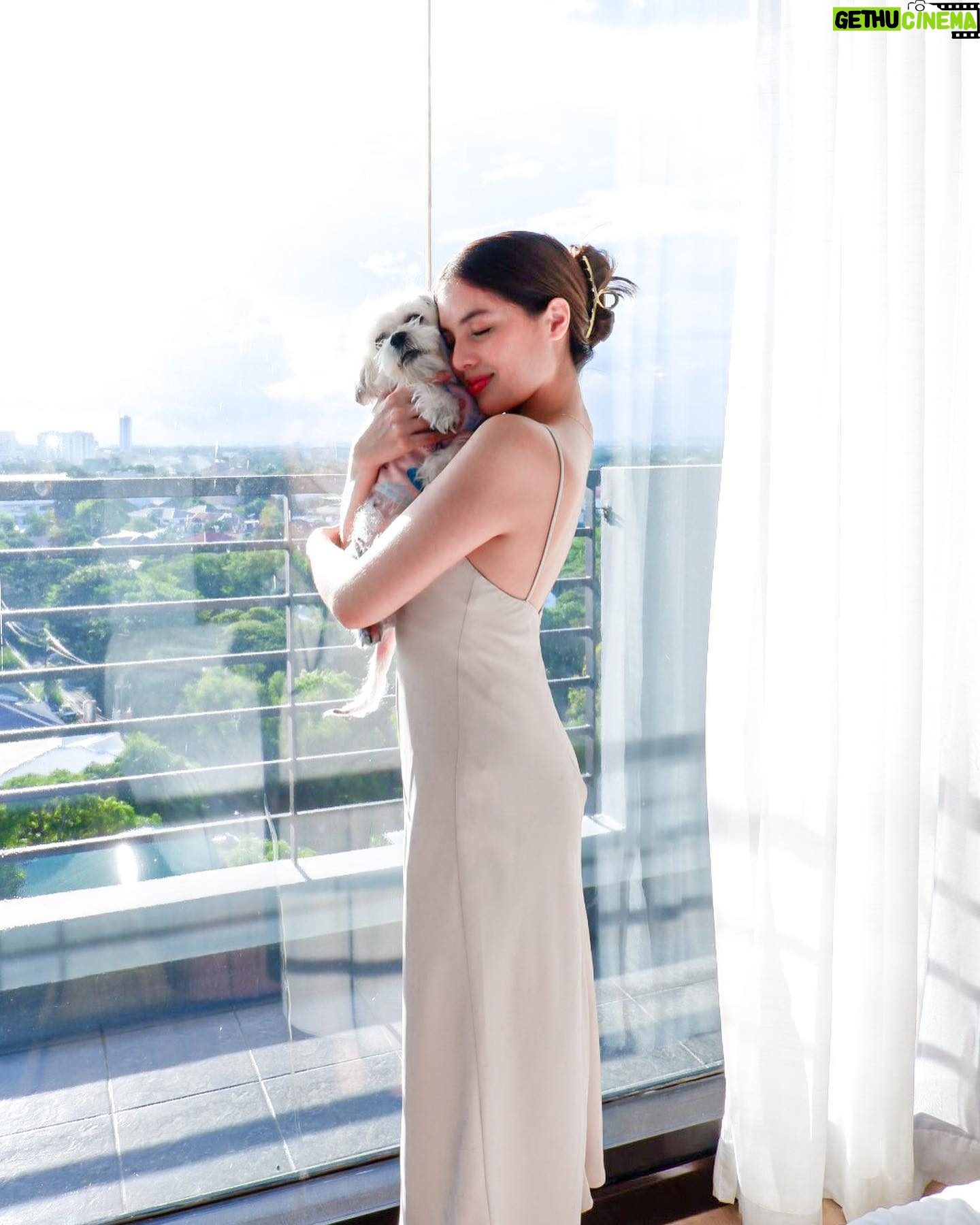 Michelle Vito Instagram - Another pet friendly hotel where our baby can stay and enjoy 🐶 We had a great time during the weekend @bhotelalabang 🤍