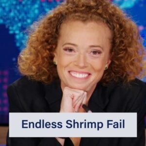 Michelle Wolf Instagram - Red Lobster really underestimated how much people like shrimp @michelleisawolf