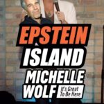 Michelle Wolf Instagram - Always nice to be mentioned #epstein #island #islandlife #merylstreep #tomhanks #beyonce #standup #comedy #michellewolf