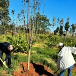 Michelle Yeoh Instagram - We planted a cherry blossom sapling… Thkq Intergral for such an inspiring visit 🥰🥰 we’ll be back 😘🌹😘