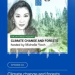 Michelle Yeoh Instagram - So thrilled that This is the outcome of my work as UNDP Goodwill Ambassador and is a cooperation between UNECE and UNDP on a crucial topic: the importance of maintaining forests healthy to combat climate change and support sustainable development. While forest fires are ravaging forests in the Northern hemisphere this summer, the podcast reminds us of all the benefits of forests for humans and the environment. Happy listening ❤️ @unecefaoforests #forests #climatechange