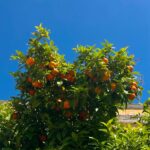 Mick Schumacher Instagram - Quality time at @vilavitaparcresort