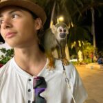 Miguel Mora Instagram - 🐒