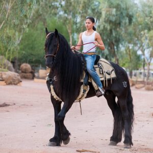 Miguel Mora Instagram - 🐎🐎
•
•
•
#rancho #ranch #photography #photooftheday #horses #photoshoot