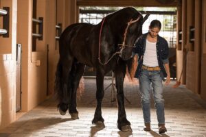 Miguel Mora Instagram - 🤠🤠
•
•
•
#rancho #ranch #horses #photography #photoshoot