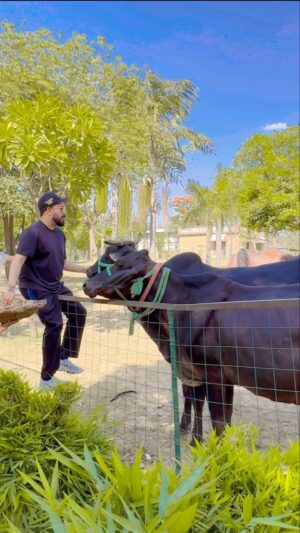 Mika Singh Instagram - We all come from villages, then moved to the city to earn money. After achieving success, we return to the farmhouse 🤔Friends, this is something special about this place, nowhere else❤️.
.
.
.
.
.
.
.
#mikasingh #mikasinghfans #mikasinghfarmhouse #mylittleparadise #mikasinghsongs #bollywood #indian #treding #viral #richpeople #richestsingersintheworld #richestsinger #richestman #horseriding #animallovers #bollywoodcelebrities