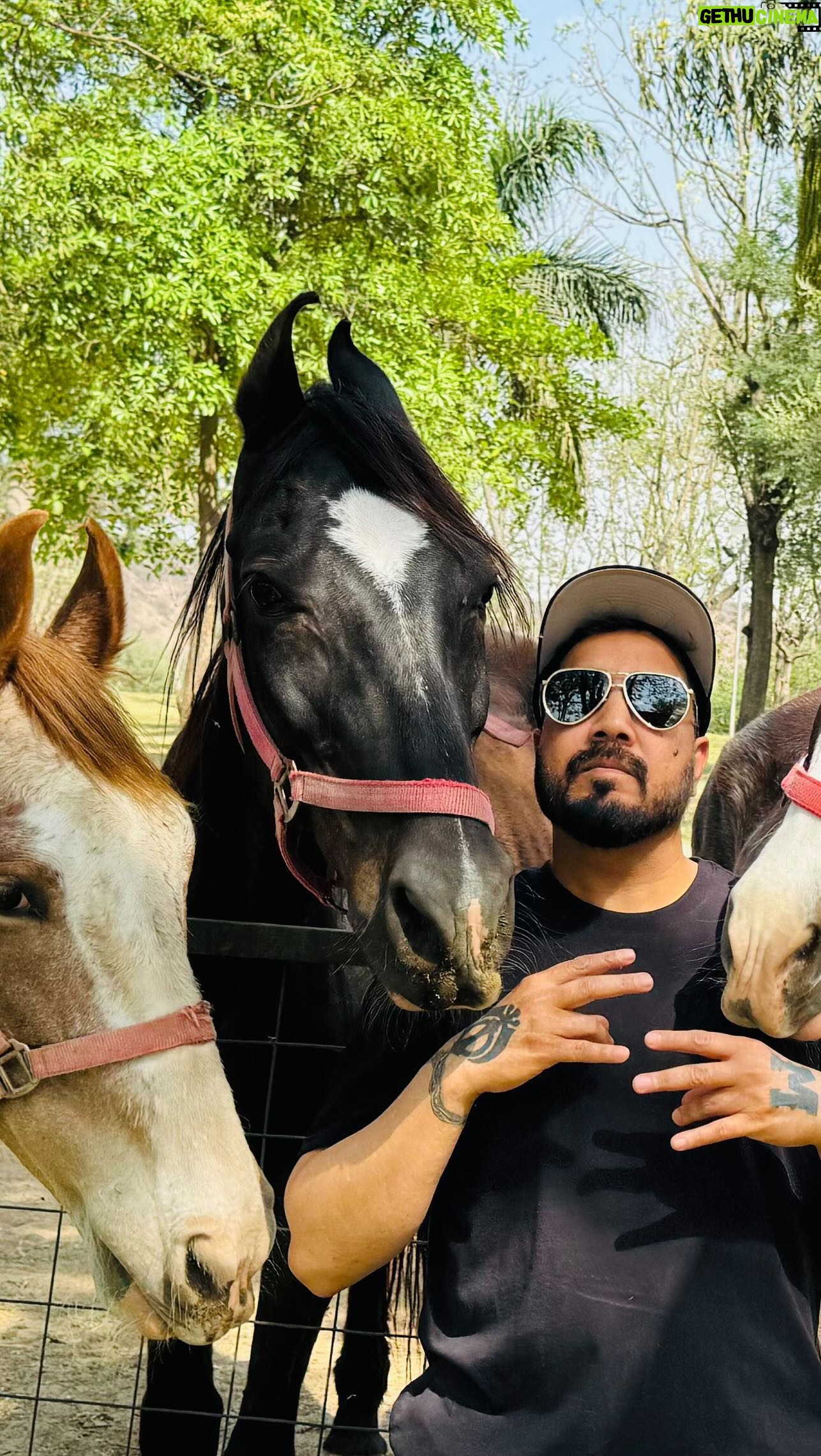 Mika Singh - 77.3K Likes - Now that’s what I call unconditional love. Even though I don’t have time every day to spend with my little paradise, they still give me so much love. I hardly meet them to feed them, but they know they’re special to me—my best buddies, #ChrisBlack, #Sundri, #Sanorita, and #Sundri
.
.
.
.
.
.
.
#mikasingh #folkandrock #mylittelparadise #divinetouchfoundation #mikasinghfarmhouse #mainukonpachane