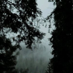 Mikaal Zulfiqar Instagram - Over the mountains and through the woods..