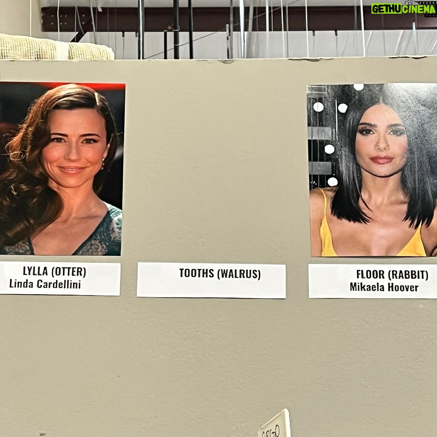Mikaela Hoover - 3 Likes - When I got to set in Atlanta the first day of shooting Guardians 3 I saw my name next to Linda Cardellinis & cried. One of the reasons I chose to attended LMU for theater was because Linda had gone there & I idolized her. Thank you James for auditioning me for Floor & allowing me to bring her innocence & joy to life.