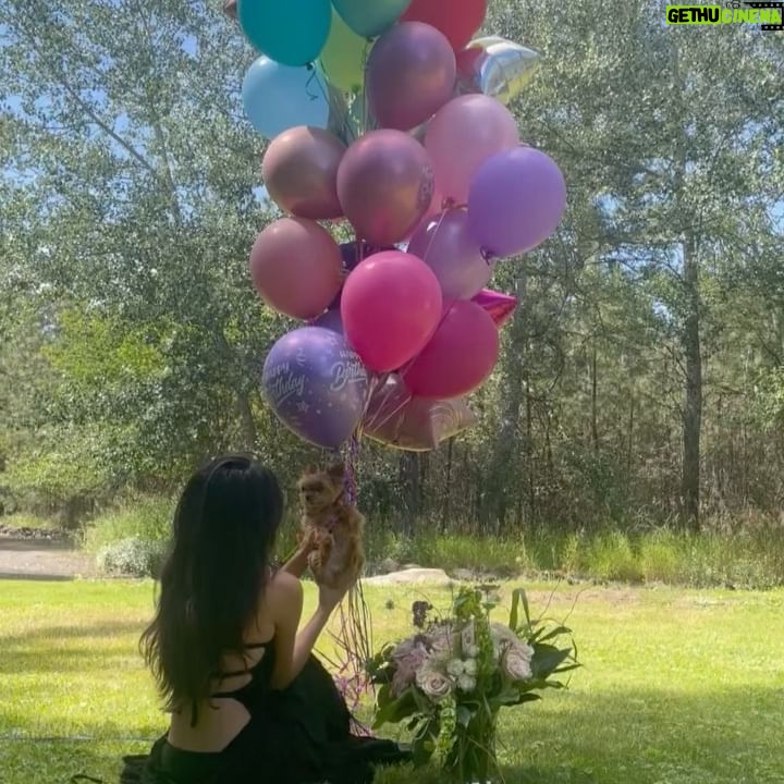 Mikaela Hoover - 3 Likes - Another trip around the sun and I couldn’t feel more blessed♥️ thank you for all the bday love! I have the best friends, family & pup in the world