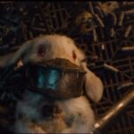 Mikaela Hoover Instagram - I am so excited to share a character that is so dear to my heart, Floor the Rabbit. Here is a clip from Guardians of the Galaxy 3 in theaters May 5th✨I hope you love her as much as I do♥️