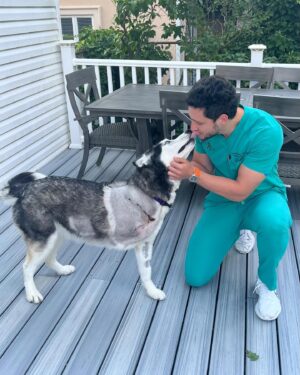 Mikhail Varshavski Instagram - 💔 My little @roxy.husky is now a three-legged pup and at first we were devastated but she’s got a true warrior spirit and is already hoping around like a bunny 🥹❤️ #husky