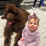 Mikhail Varshavski Instagram - Happy New Years from my family to yours! 🎉👶🏻🐻 #newfie #niece #gentlegiant