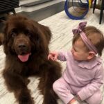Mikhail Varshavski Instagram - Happy New Years from my family to yours! 🎉👶🏻🐻 #newfie #niece #gentlegiant