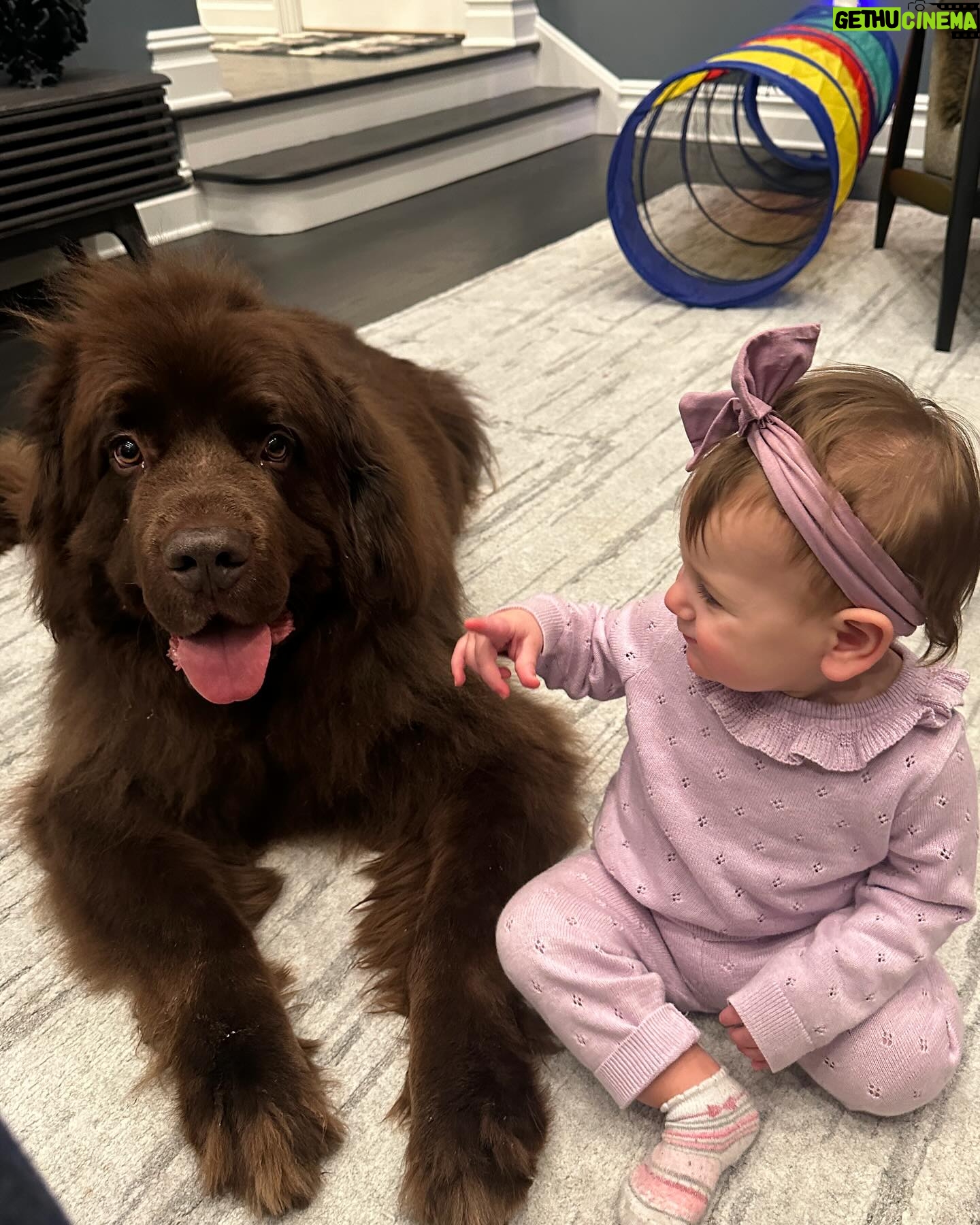 Mikhail Varshavski Instagram - Happy New Years from my family to yours! ππΆπ»π» #newfie #niece #gentlegiant