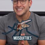 Mikhail Varshavski Instagram - What do me, mosquitoes and vampires have in common? You can find us all at the @fieldmuseum for a new exhibition and blood drive on October 28th hosted by @versitibloodcenterofillinois and @abbottglobal Register at http://bethe1donor.com/bloodsuckers to get free basic admission. @bcabloodcenters #Ad #AbbottPartner #GiveBloodGiveBack #LegendstoLeeches