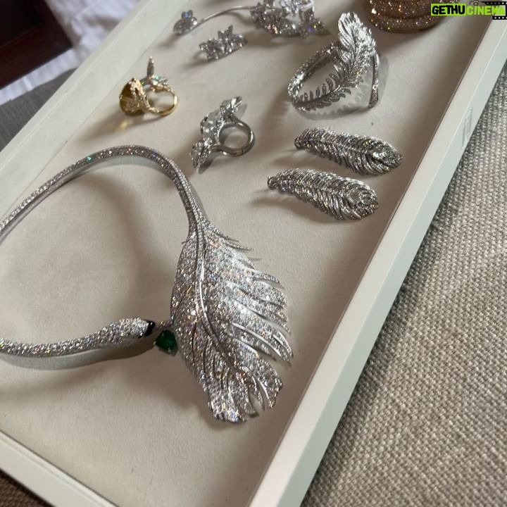 Mila Alzahrani Instagram - @sayidatynet ・・・ تتابعون في قصة غلاف العدد2204 سفيرة الشرق الأوسط لدار #بوشرون #ميلا_الزهراني حيث السينمَا السعودية أرض خصبة لتقديم الأفضل. وفي اللقاءات، المحامية #غادة_العيدي وسعي لخلق بيئة قانونية قوية وفق #رؤية2030. في الأزياء، المصممة #نور_الظاهري تكشف تفاصيل مشروعها مع هيئة العلا مؤكدة أنها مشاركة على مستوى الوطن. في المجوهرات، المصممة #ساندي_تابت وقطع عربية توازي مستوى الإنتاج العالمي. الى الديكور، المصمم روبرتو الزيروني حيث التصميم العاطفي يعزز حرية الإبداع. كل هذا وأكثر تجدونَهُ على صفحات سيدتي ورقياً وإلكترونياً سيدتيْ سيدةُ المجلاتِ العربية @milaalzahrani @ghadahaleidi @nouraldhahri__official @sandytabetjewellery @nicholasbiebuyck @tagheuer @talkwithdiala @suaadalshamsi @jomanaalrashid @moalturki @naomi @srmghq @festivaldecannes @redseafilm @maha1.alahmad @solakeyrouz @nisrinehammoud @linaalaali @linahorany @soha_alwa3al @maguychamma @zeinahamouch @mayaalhawary @roberto_lazzeroni @boucheron @maisonvirginieparis @azfactory قصة الغلاف رئيسة التحرير @lamashethry حوار @moetaz_elshafey تصوير @tareckraffoul مدير إبداعي وتنسيق أزياء @farouk_chekoufi مكياج @giuliacohen @b_agency شعر @alexis.parente @b_agency مخرج فيديو @davide._.corona_ موقع التصوير @hotelbarrierelemajestic #سيدتي #مشاهير #sayidaty #celebrity #beauty #fashion