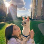 Milana Khametova Instagram - Ловим с Дипиком последние теплые деньки☀️ #миланахаметова #дипик #чихуахуа #chihuahua