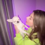 Milana Khametova Instagram - у нас лямурр🐾❤️