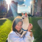 Milana Khametova Instagram - Ловим с Дипиком последние теплые деньки☀️ #миланахаметова #дипик #чихуахуа #chihuahua