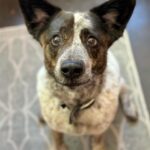 Milana Vayntrub Instagram – Feels important to share