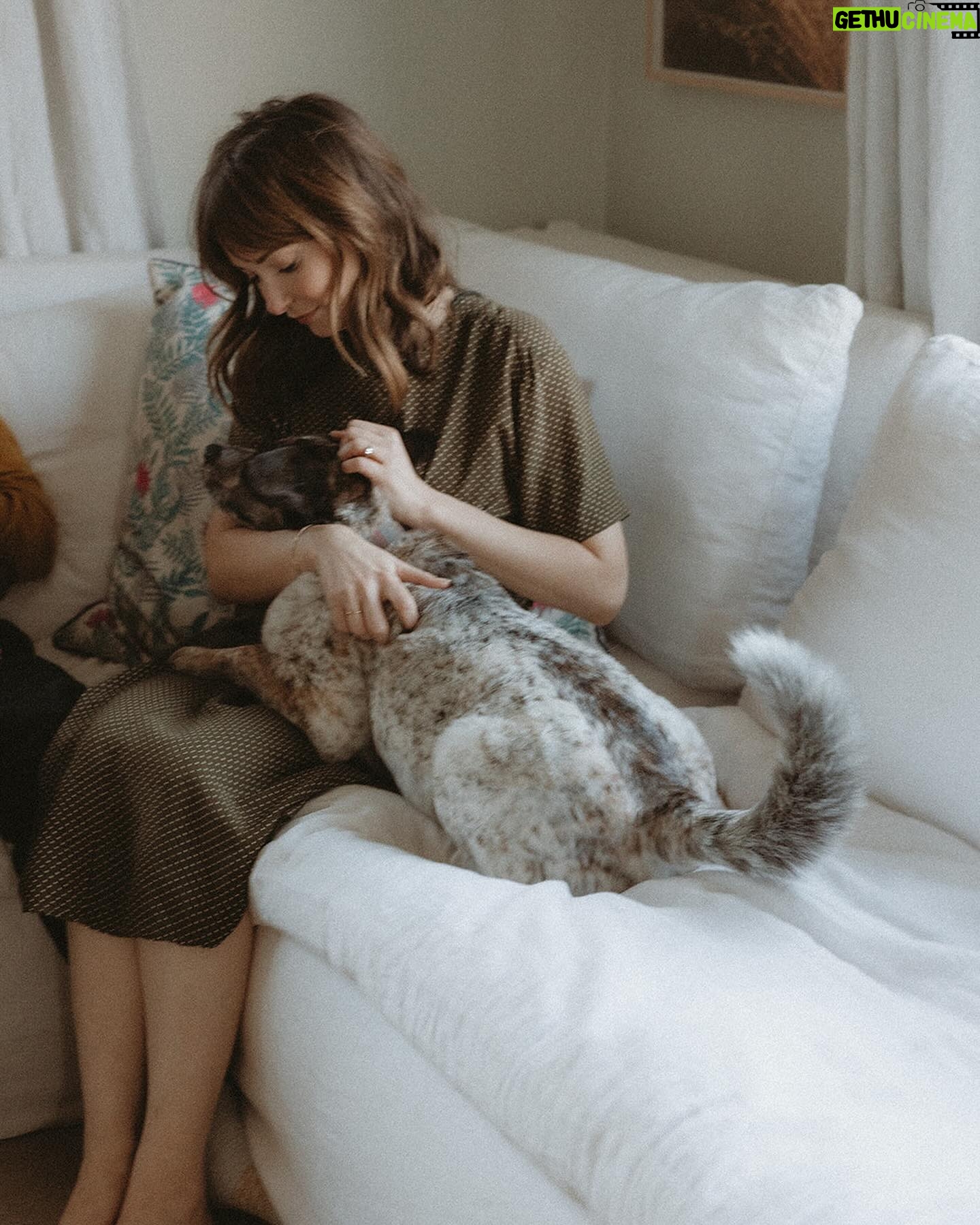 Milana Vayntrub Instagram - My buddies @wearemattandjess have taken the most breathtaking family pics. These are the only ones I feel good about sharing with the internet.