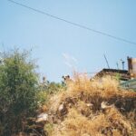 Milly Alcock Instagram - Symmetry between landscapes