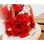 Min Hyo-rin Instagram - 🌹💋@diormakeup #rougediorultracare #울트라벨벳틴트 #999호 #ad