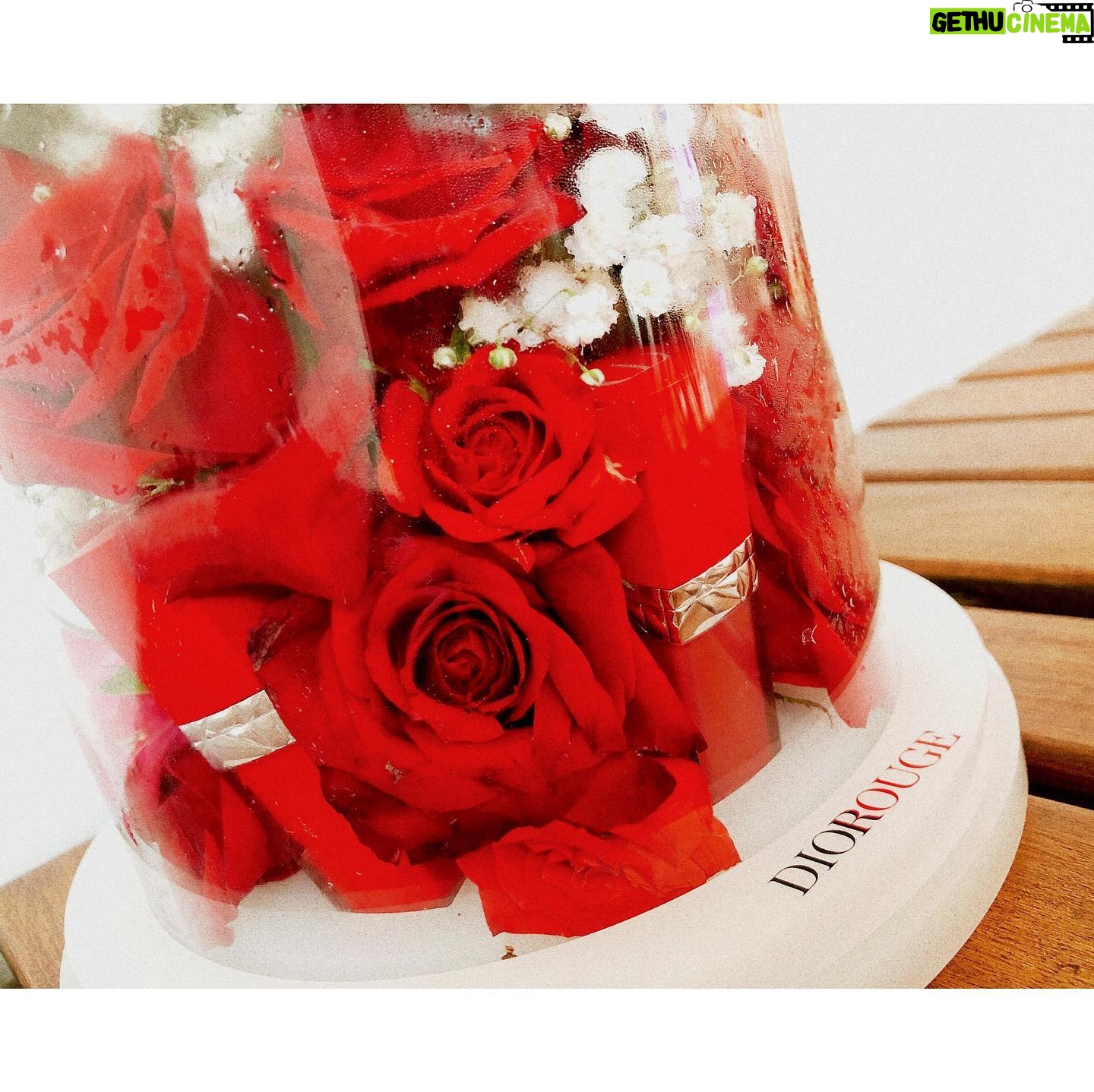 Min Hyo-rin Instagram - 🌹💋@diormakeup #rougediorultracare #울트라벨벳틴트 #999호 #ad