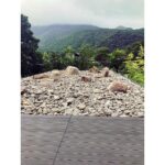 Min Hyo-rin Instagram – 🌳🌿🍃