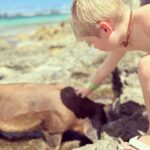 Mina Starsiak-Hawk Instagram - The Highlight Reel 🤍 :::::: What’s your thought on cruises??!? We haven’t written them off u#but this one was rough 😬
