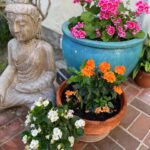 Ming-Na Wen Instagram - Garden Girl Time! Happiness is seeing my beautiful flowers bloom. 🌹🌸💐🌺🌷🪻 Empty Nester: Day 1 Let's see how much I get done. Maybe not do anything at all!😁