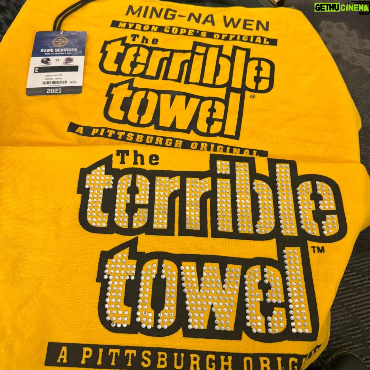 Ming-Na Wen Instagram - Not the outcome we wanted tonight, πͺbut it was still an exhilarating homecoming to be on the field with the @steelers and my family and friends! βΊοΈ ππΌπ€π Great to meet the Rooneys, see my buddy @mrpatrickfabian and meet the members of @styxtheband. Being on the field was such a high! Thank you to Dave Hoss, John Wodarek and Noah for making this a most awesome experience! The fans rocked the towel twirl and I loved seeing them continue to cheer #theSteelers on with pure devotion and passion! But even though they rallied, no go tonight. πͺ Next one! π€ππ€π