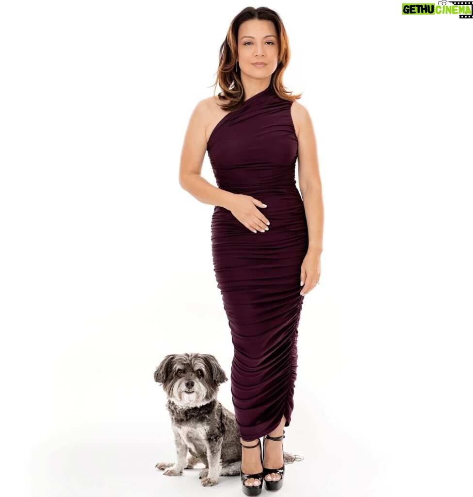 Ming-Na Wen Instagram - James rather play than pose!😂❤️ LOVE LOVE LOVE these wonderful photos with my furbaby. ❤️❤️💞🐾💖Thank you, @charlienunnphotography & Raymond for a fun shoot. And for a great cause! Their photo book will support @wagsandwalks. 👏🏼👏🏼👏🏼🐾🐾🐾 If you ever want great photos with your furbabies, check Charlie out. 💞❤️
