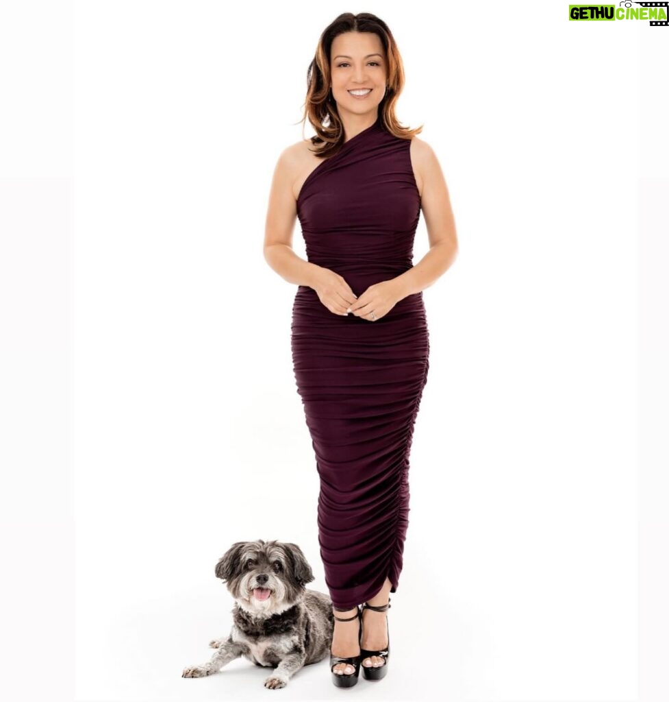 Ming-Na Wen Instagram - James rather play than pose!😂❤️ LOVE LOVE LOVE these wonderful photos with my furbaby. ❤️❤️💞🐾💖Thank you, @charlienunnphotography & Raymond for a fun shoot. And for a great cause! Their photo book will support @wagsandwalks. 👏🏼👏🏼👏🏼🐾🐾🐾 If you ever want great photos with your furbabies, check Charlie out. 💞❤️