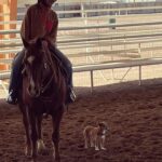 Minka Kelly Instagram – Soooo Freddy is a ranch dog now.