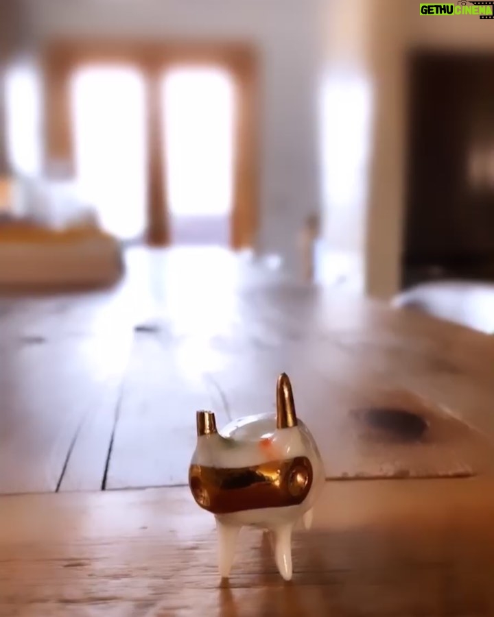 Minka Kelly Instagram - just putting this here because it makes me happy this little guy thought he was broken and it made him weird so I helped make him even more (seemingly) weird and now he’s perfect the end it’s called: voilá
