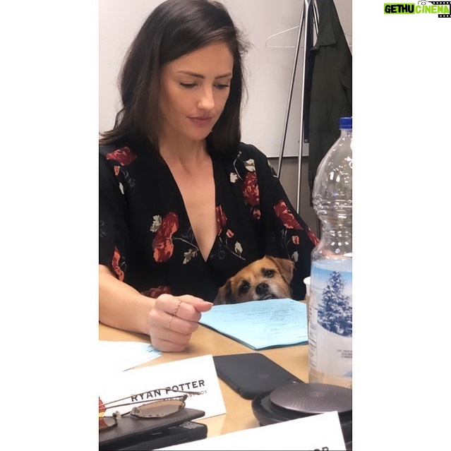 Minka Kelly Instagram - Freddy takes our table reads very seriously. Thank you for this, @conorleslie 🥰