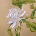 Minnie Mills Instagram – #WorldMentalHealthDay was a few days ago, and while I’m a little late, I wanted to share with you something I wrote. Mental illness is something that I have battled with my whole life, and for many years I let it define me and my self worth. I was inspired by Epiphyllum Oxypetalum, better known as The Queen of The Night or Tan Hua. This poem is a love letter to anyone who struggles with their mental health. A reminder that you are beautiful, that you are not a burden, and it is a privilege to love and be loved by you. Self love and healing is a journey and is rarely linear, there is no timeline, no one way it should look, no such thing as failure.

I want to say thank you to the brilliant @rupikaur_ for inspiring me and helping me to share this with you all, and my dearest friends @sean.kauf and @isabelrmachado for giving me the courage and support to do so

Thank you for reading this little piece of my heart. I hope you enjoy.
