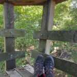 Miranda Hart Instagram – This was me up a treehouse @kneppwilding If you get the chance to go, you will invariably be put in a childlike state of awe and wonder at what a rewilding project can do. I usually get a weepy just seeing a Robin in my small London garden, so you can imagine the state I was in coming across wild Tamworth pigs, Red Stags to name but two of the many many wonders. Nature – our greatest healer. So sad to think how many don’t get access to it.