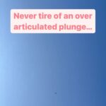 Miranda Hart Instagram – Plunge into a purchase of the plunge in bowl 
@themirandashop 
www.themirandashop.com