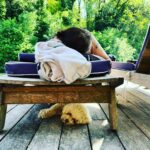 Miranda Hart Instagram – Friends will not contest that I don’t find it easy just to lie down and fully relax let alone snooze, but there’s something about this place…
As promised from yesterday’s post re @ditchlingcabin  Anyone following this account can get 10% off in 2024 if you use code MIRANDA24 
ditchlingcabin.com
Keep an eye on dates as some more might be released nearer the time. 

Also check out tennisshed.com their other lovely property.  Same promo code applies and more availability.