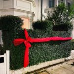 Miranda Hart Instagram - Bravo I say. Simple. Classy. No electricity. 🎄 And it means we can say “nice bush” with authority and glee. Obviously.