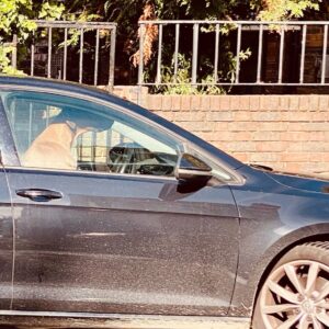 Miranda Hart Instagram - First thought - that’s a dog isn’t it? (Takes picture)
Second thought - please can this dog be Prime Minister