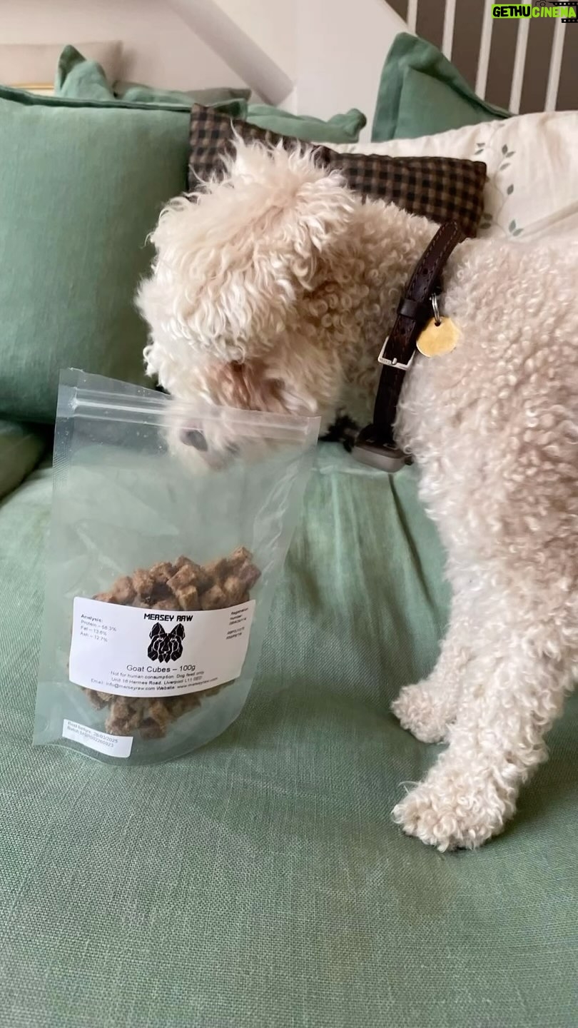 Miranda Hart Instagram - Patti intrigued by her new treats. @merseyraw She looks a bit like me next to some crisps “open them NOW so I can eat them ALL”