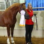 Miranda Lambert Instagram - The pretty inspiration behind the @idyllwind brand. This is Ellie (Idyllwind Ellund ). She is a Welsh Cob and she is a feisty red head. This is the first horse that really taught me to be brave and try things that scare me. I didn’t start riding until I was 30 but it was always a dream of mine. She kept me safe in the saddle and she showed how me to get in the show ring with confidence. Now I have 6 horses and riding is my biggest passion besides rescue animals and music. This brand @idyllwind is about being who you are, being brave and taking chances. About trying new things no matter where you are in your life. About going out there and getting what you want. Horses are the best teachers🐴. She is pretty much retired now at the farm living her best green pasture life but every time I ride her I think about our decade together and thank her for all the lessons. #idyllwindellund 🧡🐴
