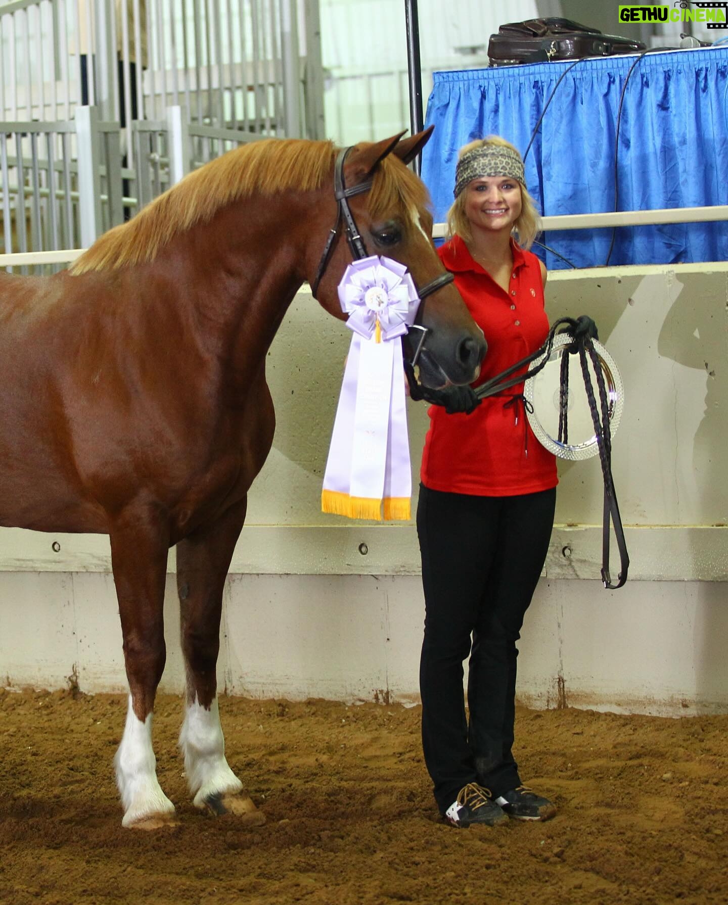 Miranda Lambert - 67.7K Likes - The pretty inspiration behind the @idyllwind brand. This is Ellie (Idyllwind Ellund ). She is a Welsh Cob and she is a feisty red head. This is the first horse that really taught me to be brave and try things that scare me. I didn’t start riding until I was 30 but it was always a dream of mine. She kept me safe in the saddle and she showed how me to get in the show ring with confidence. Now I have 6 horses and riding is my biggest passion besides rescue animals and music. This brand @idyllwind is about being who you are, being brave and taking chances. About trying new things no matter where you are in your life. About going out there and getting what you want. Horses are the best teachers🐴. She is pretty much retired now at the farm living her best green pasture life but every time I ride her I think about our decade together and thank her for all the lessons. #idyllwindellund
🧡🐴