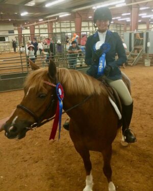 Miranda Lambert Instagram - The pretty inspiration behind the @idyllwind brand. This is Ellie (Idyllwind Ellund ). She is a Welsh Cob and she is a feisty red head. This is the first horse that really taught me to be brave and try things that scare me. I didn’t start riding until I was 30 but it was always a dream of mine. She kept me safe in the saddle and she showed how me to get in the show ring with confidence. Now I have 6 horses and riding is my biggest passion besides rescue animals and music. This brand @idyllwind is about being who you are, being brave and taking chances. About trying new things no matter where you are in your life. About  going out there  and getting what you want. Horses are the best teachers🐴. She is pretty much retired now at the farm living her best green pasture life but every time I ride her I think about our decade together and thank her for all the lessons. #idyllwindellund
🧡🐴
